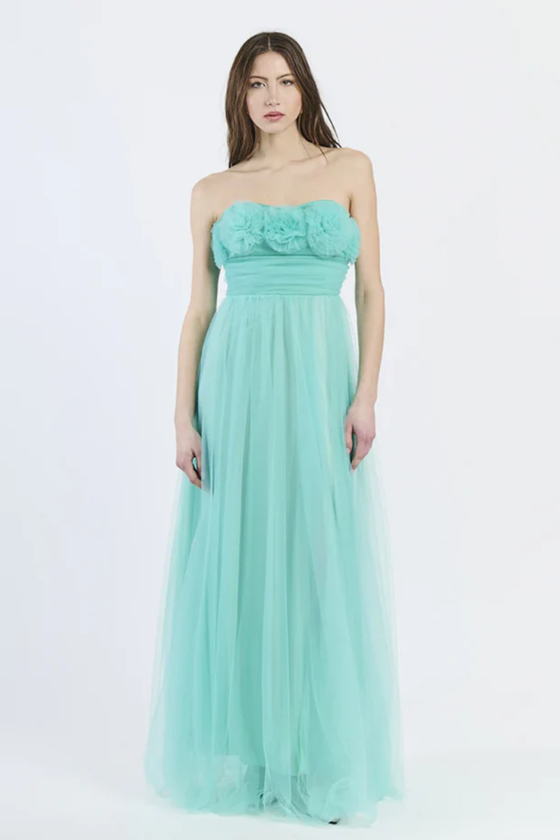 Vittoria Strapless Tulle Long Dress