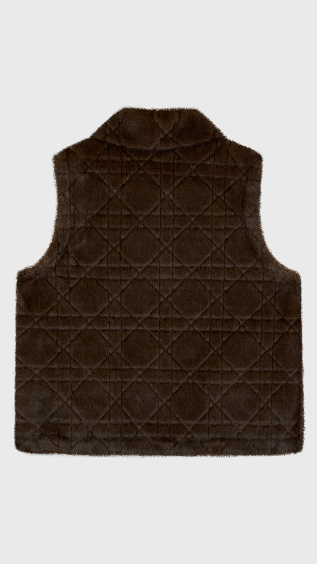 Gilet Senza Maniche in Peluche Sintetico, Colletto Rialzato con Zip, Modello Trapuntato, Giacca Gilet Invernale Casual per Donna